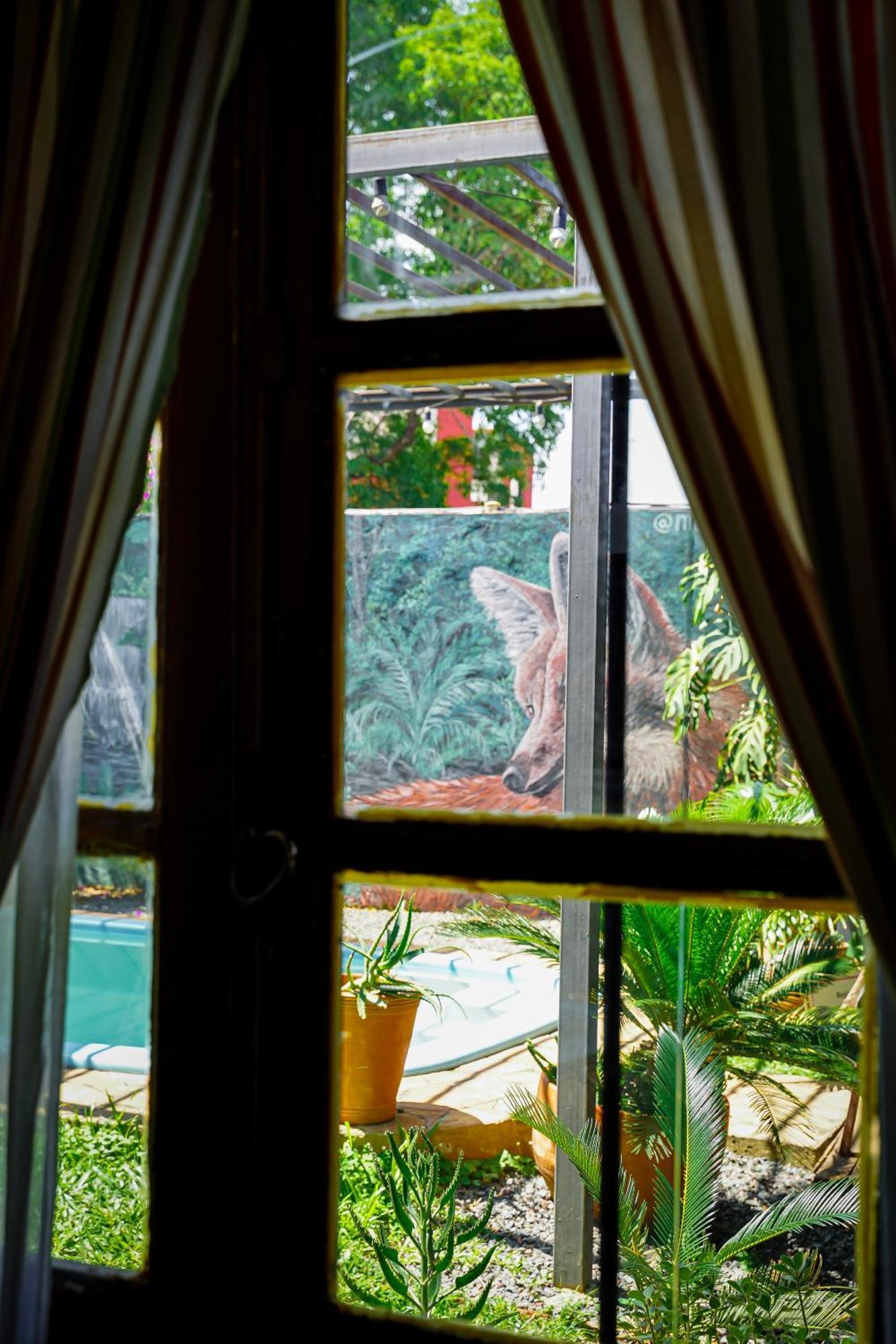 Nomada Hostel Asuncion Extérieur photo